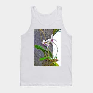 Sherman Gardens Study 23 Tank Top